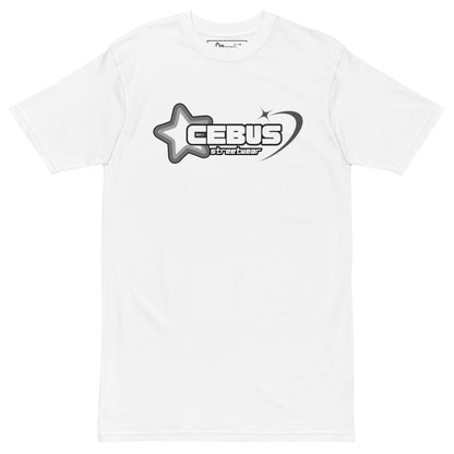 Cebus Streetwear Gray heavyweight tee